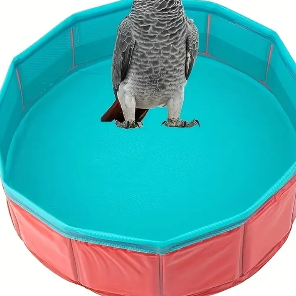 Bird Swimming Pool - Picture 4 of 6